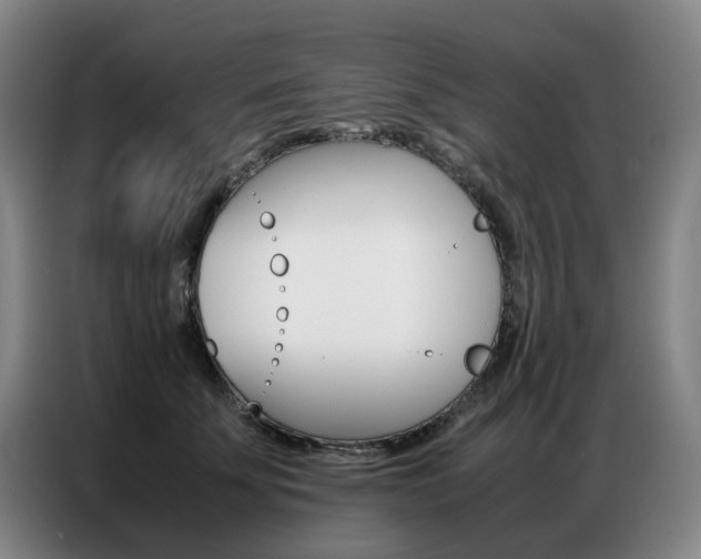 X0000087360707200704200826