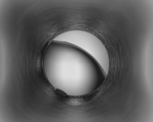 X0000087360708200704200826