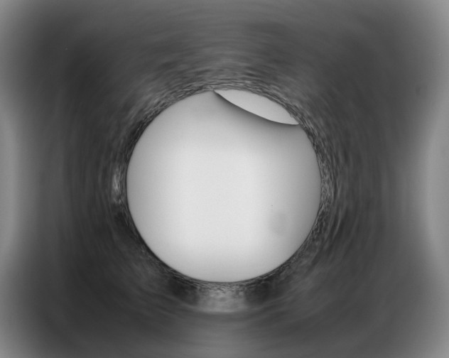 X0000087360709200704200826