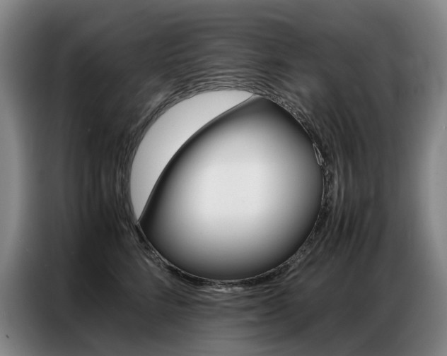 X0000087360712200704200826