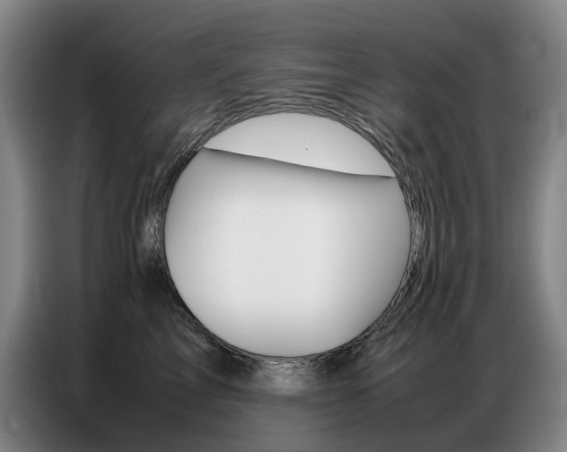X0000087360713200704200826
