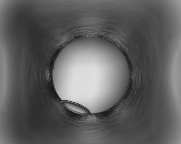 X0000087360715200704200826