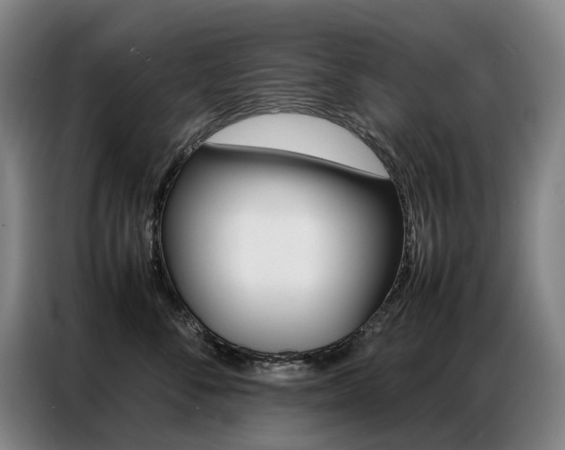 X0000087360716200704200826