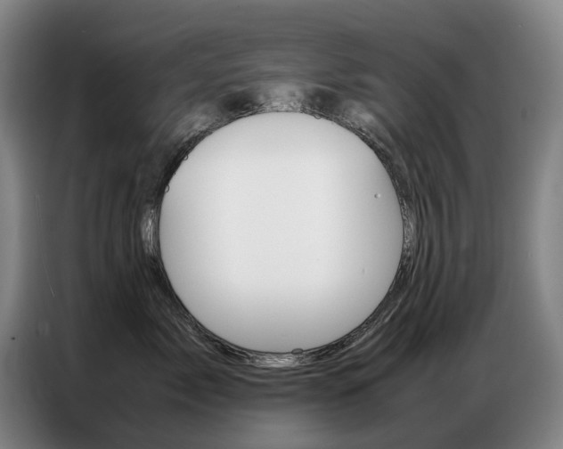X0000087360717200704200826