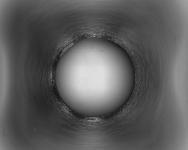 X0000087360720200704200826