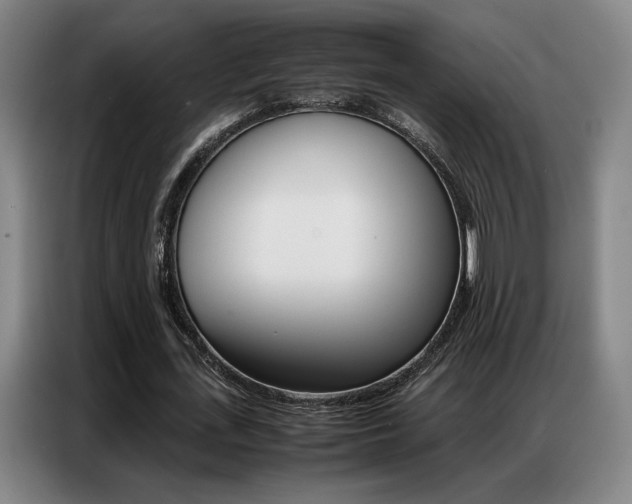 X0000087360723200704200825