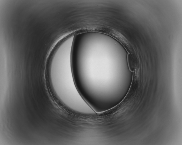 X0000087360724200704200825