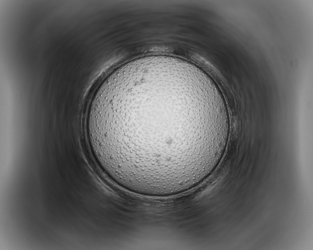 X0000087360725200704200825