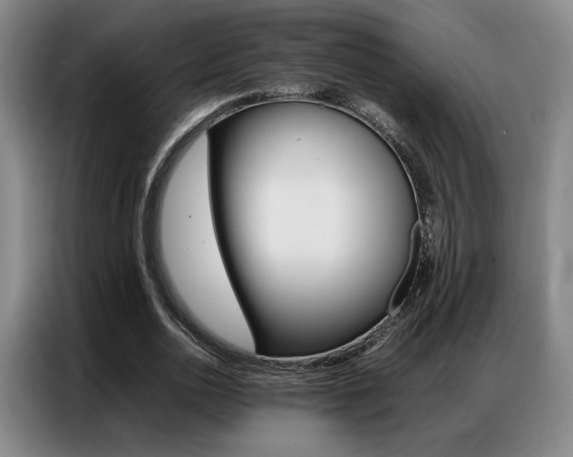 X0000087360726200704200825