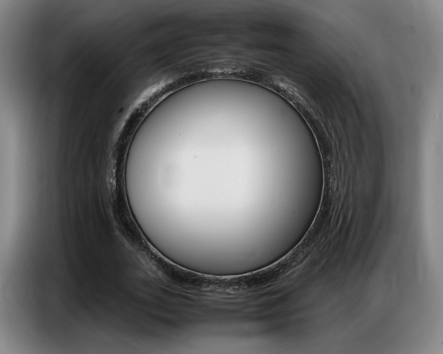 X0000087360727200704200825