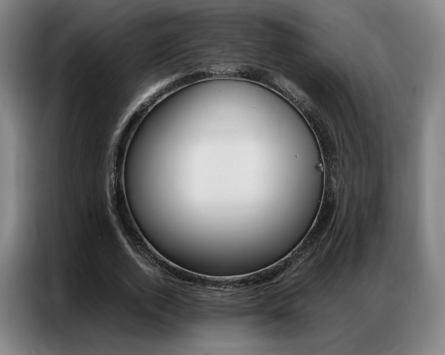 X0000087360728200704200825