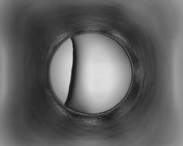 X0000087360729200704200825
