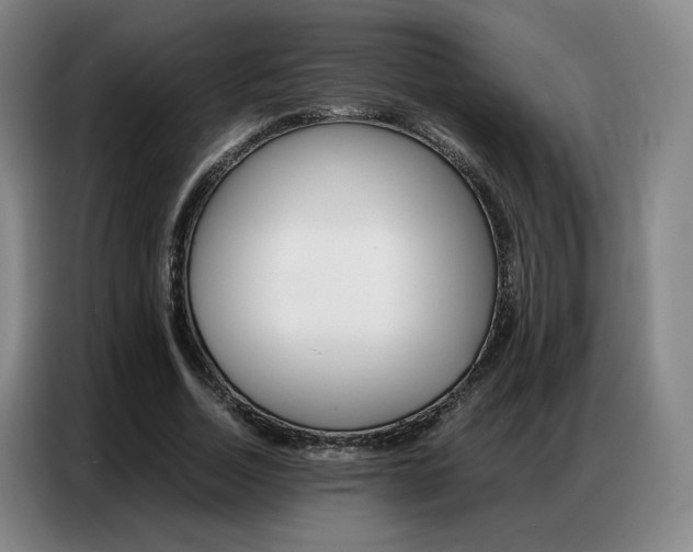 X0000087360730200704200825