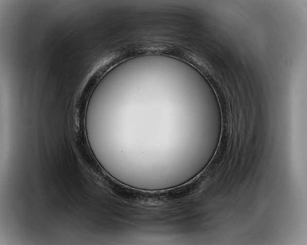 X0000087360731200704200825