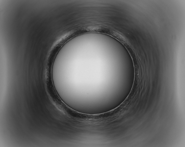 X0000087360732200704200825