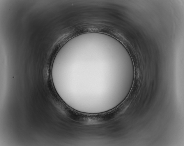 X0000087360733200704200825