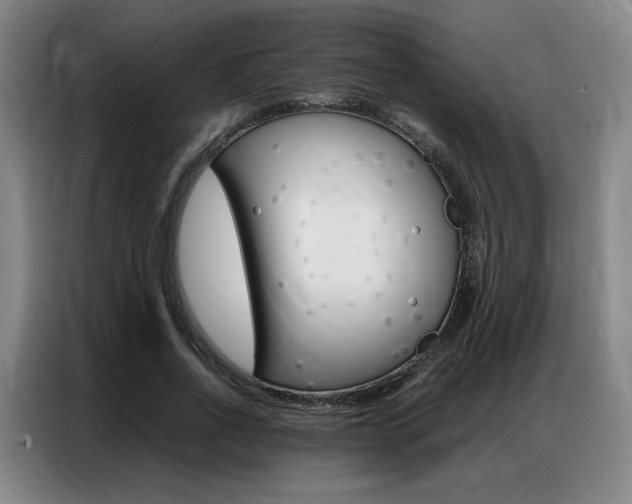 X0000087360734200704200825
