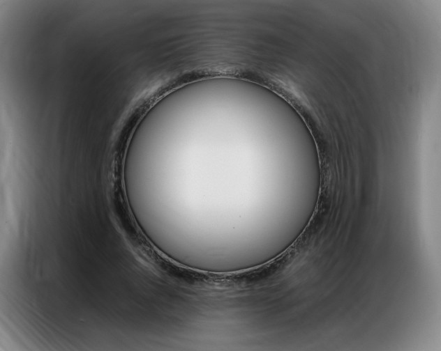 X0000087360736200704200825