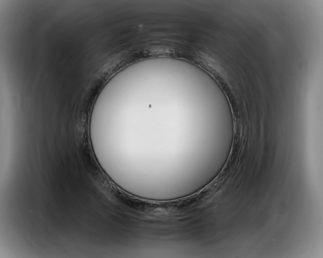 X0000087360737200704200825