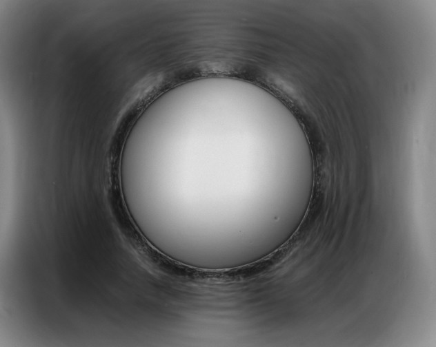 X0000087360738200704200825
