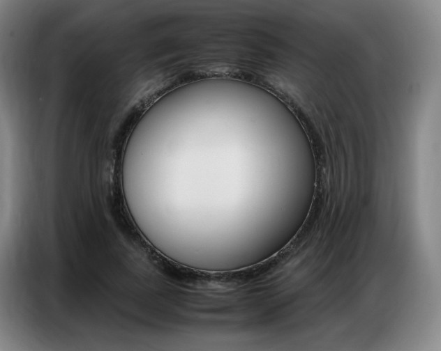 X0000087360739200704200825