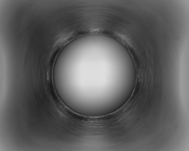 X0000087360740200704200825