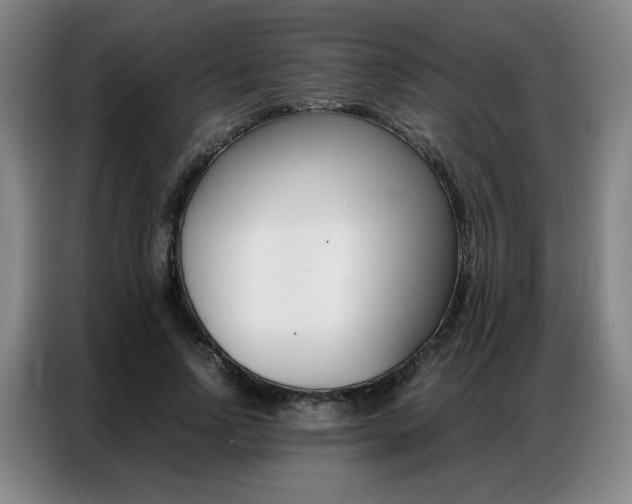 X0000087360742200704200825