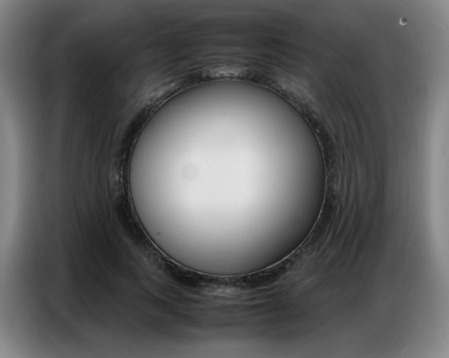 X0000087360743200704200825