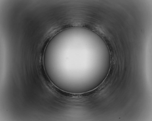 X0000087360744200704200825