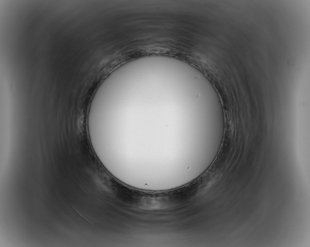 X0000087360745200704200825