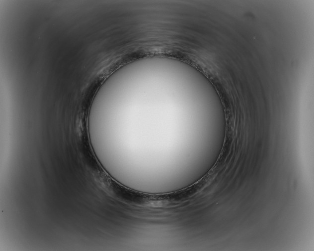 X0000087360746200704200825