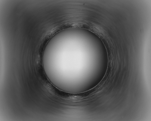 X0000087360748200704200825