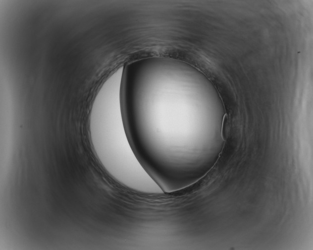 X0000087360750200704200825