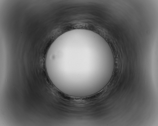 X0000087360753200704200825