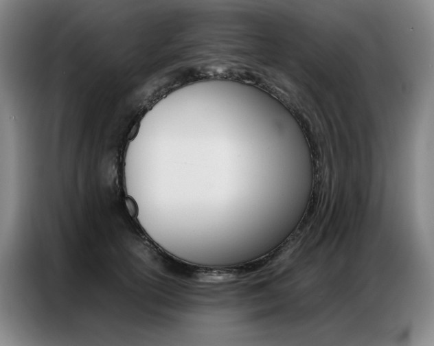 X0000087360754200704200825