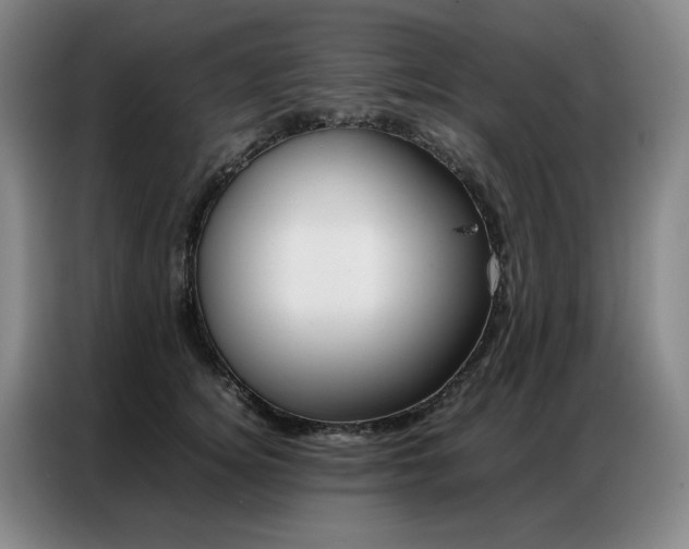 X0000087360756200704200825