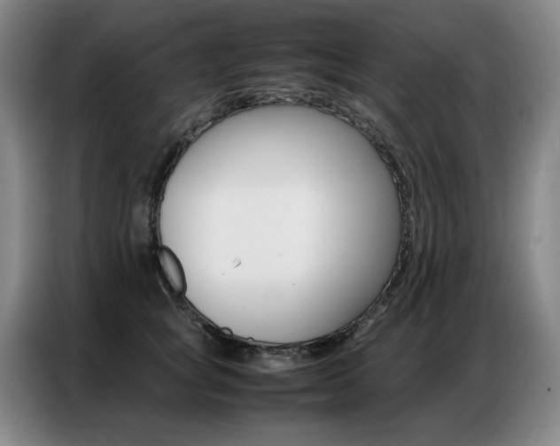 X0000087360757200704200825