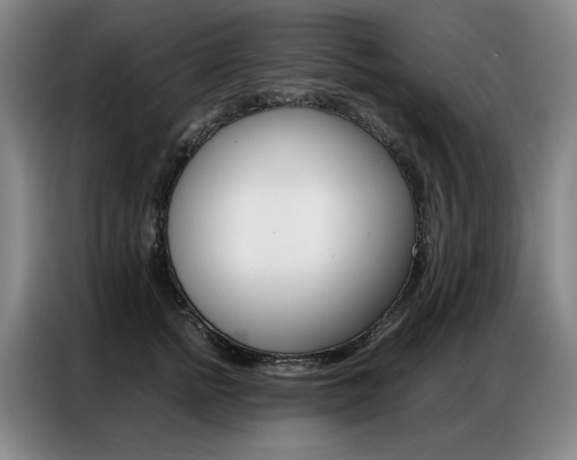 X0000087360758200704200825