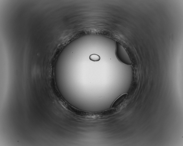 X0000087360760200704200825