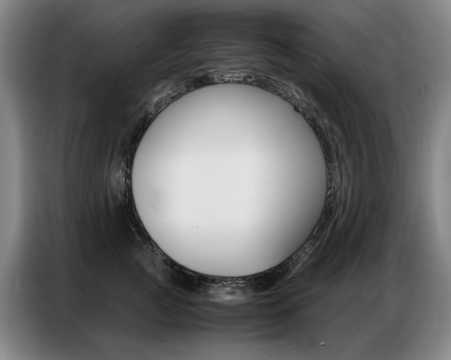 X0000087360761200704200825