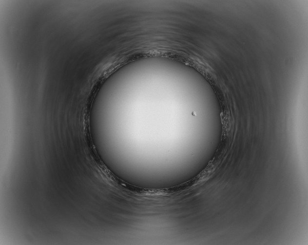 X0000087360762200704200825