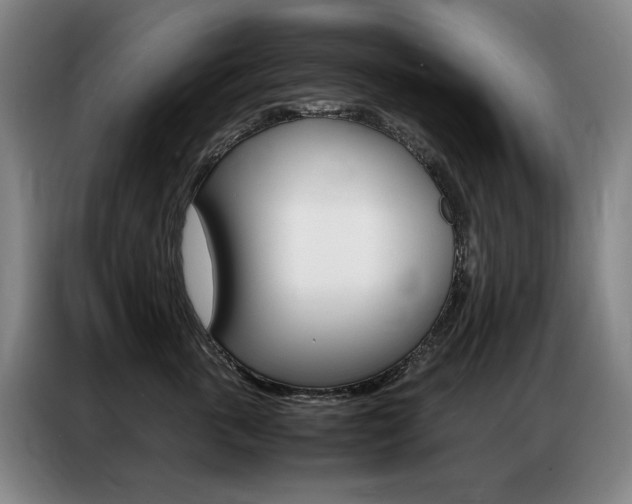 X0000087360763200704200825