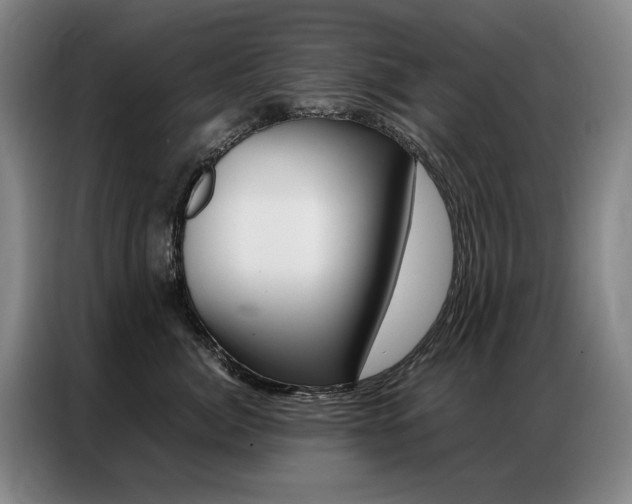 X0000087360764200704200825