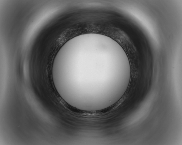 X0000087360765200704200825