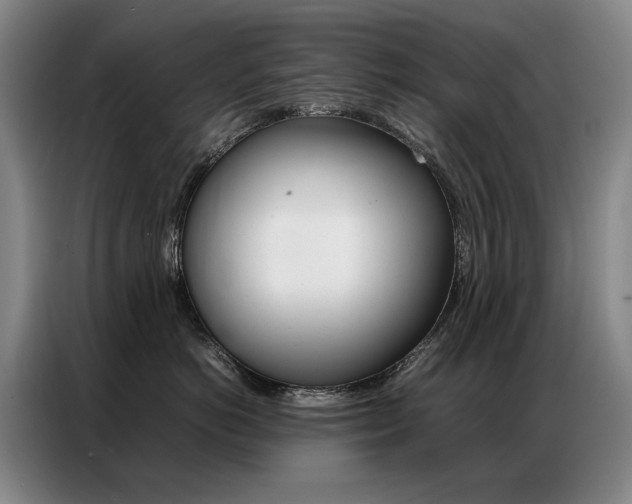 X0000087360766200704200825