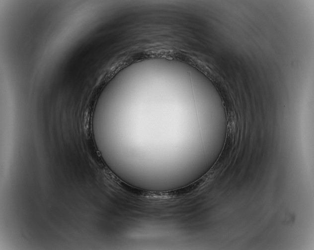 X0000087360767200704200826