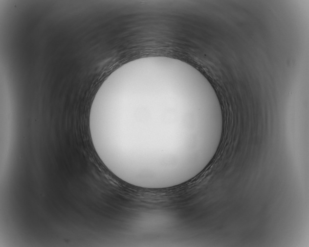X0000087360768200704200826