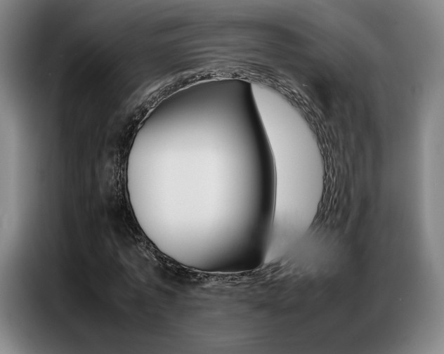 X0000087360773200704200825