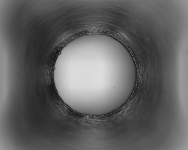 X0000087360774200704200825