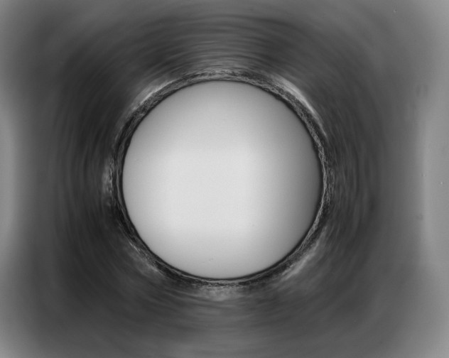 X0000087360778200704200825